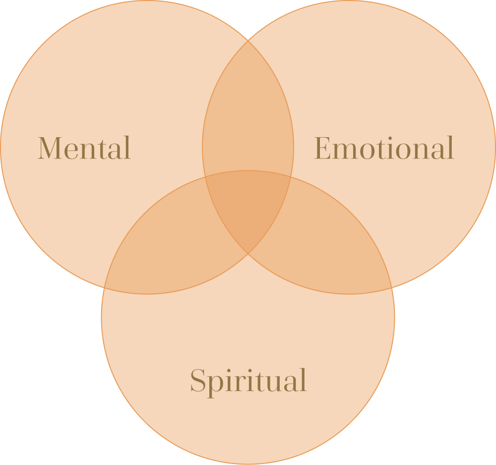 Physiology And Function: Organising The Patient’s Clinical Imbalances